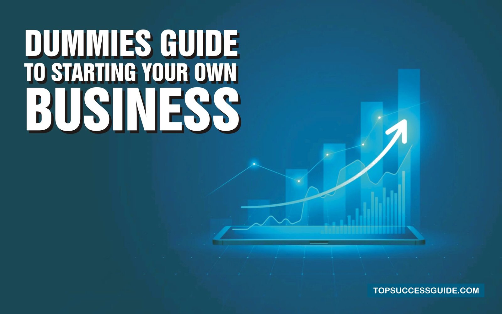 Dummies Guide to Starting Your Own Business